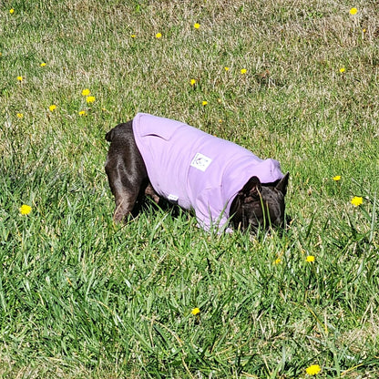 100% Cotton Dog Hoodies