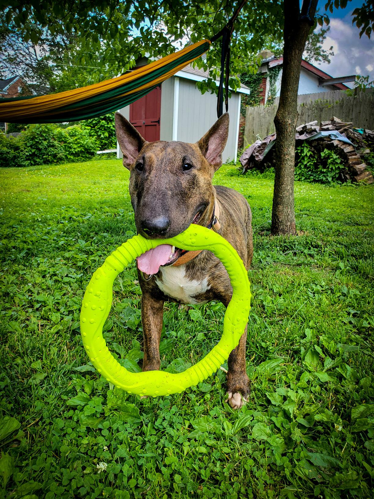  Durable Flying Ring