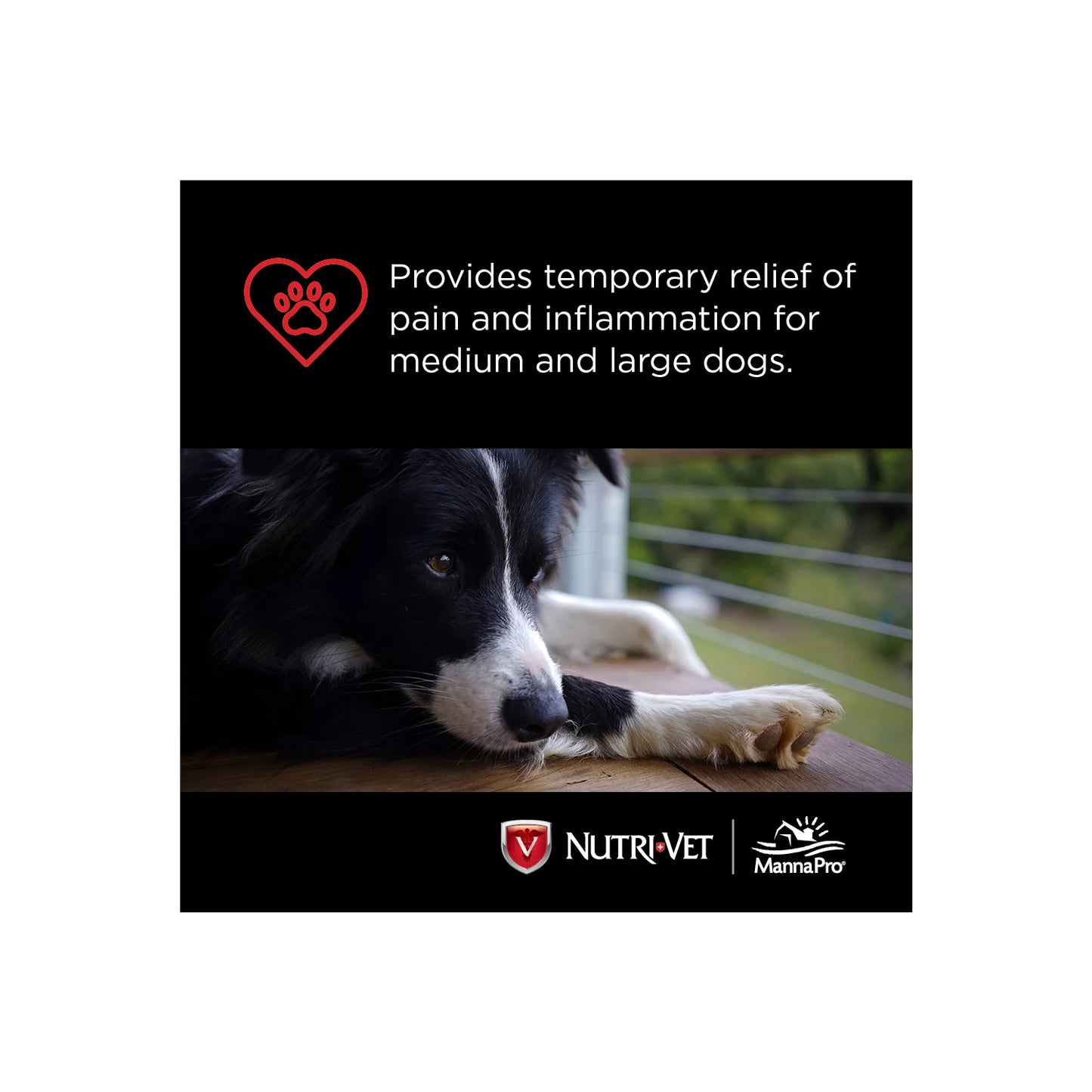 Aspirin for Medium to Large Dogs - 300Mg - 75 Count