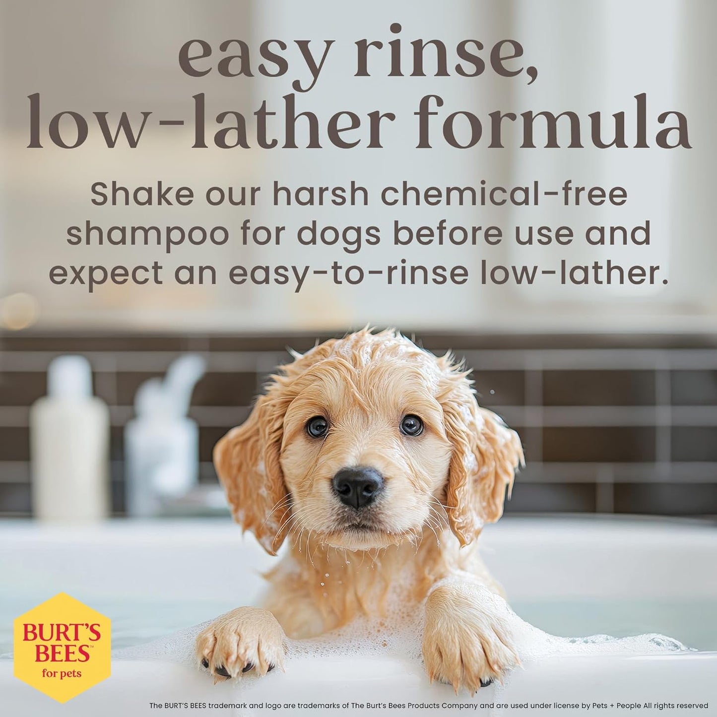 Puppy Shampoo with Buttermilk
