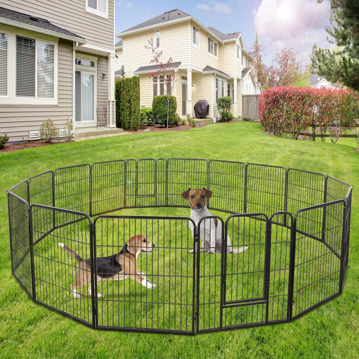 Metal Exercise Pen W/ Doors