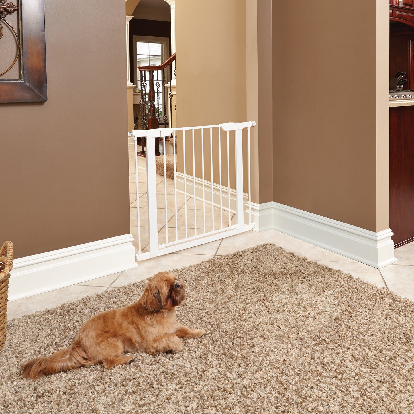 Steel Pet Gate 29" | 39"