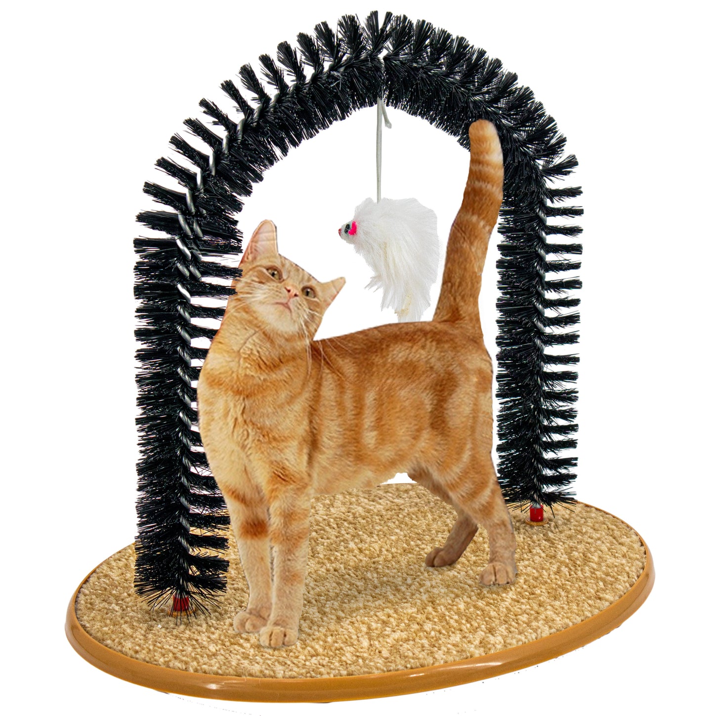 Grooming Arch with Catnip for Scratching