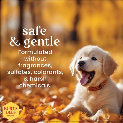 Puppy Shampoo with Buttermilk