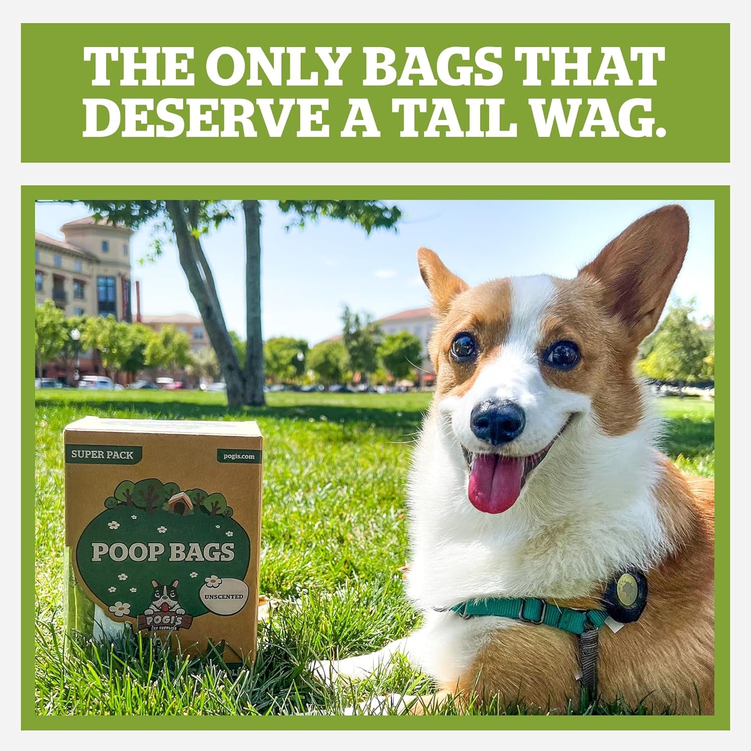 Pogi’s Dog Poop Bags with Handles