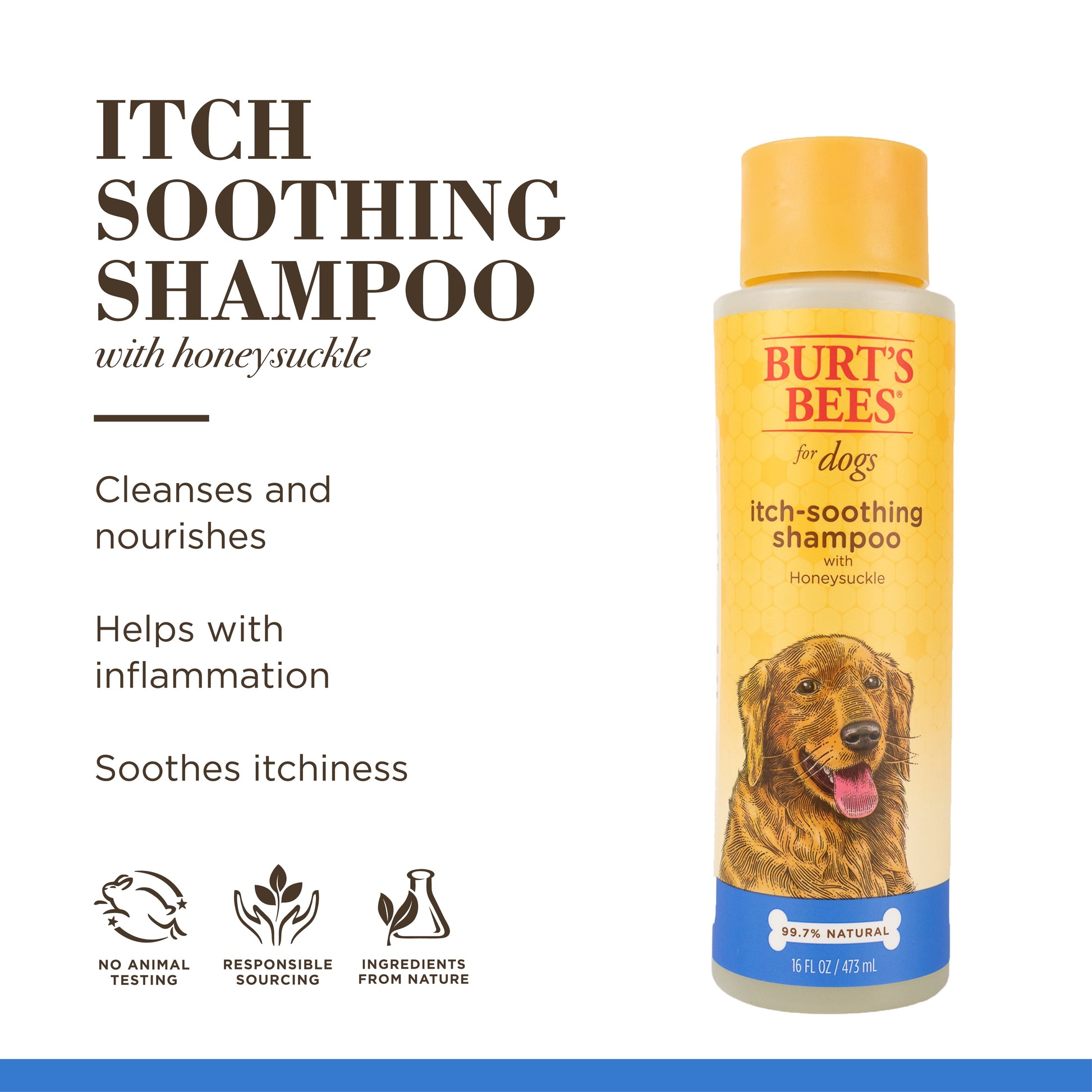 Itch Soothing Shampoo - Honeysuckle Scent - 16oz