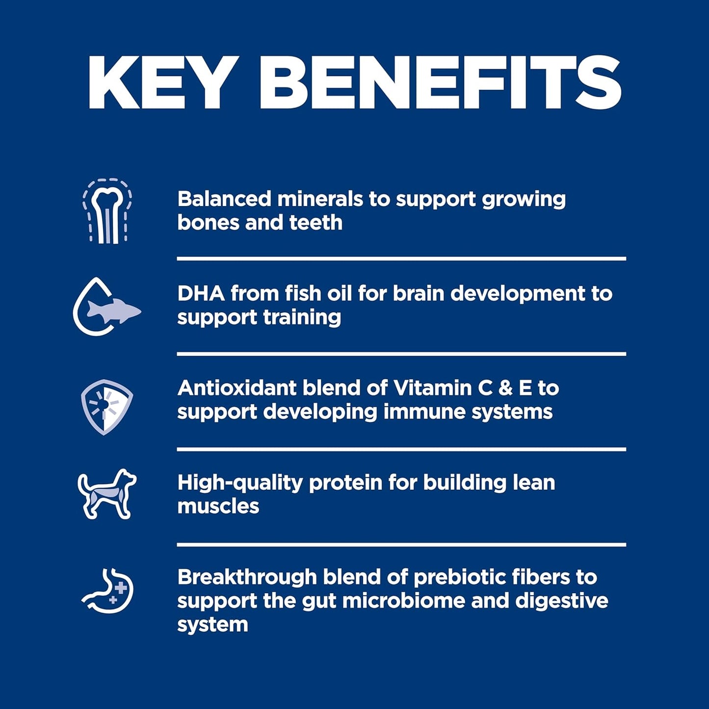 Hill's Science Diet Puppy Food