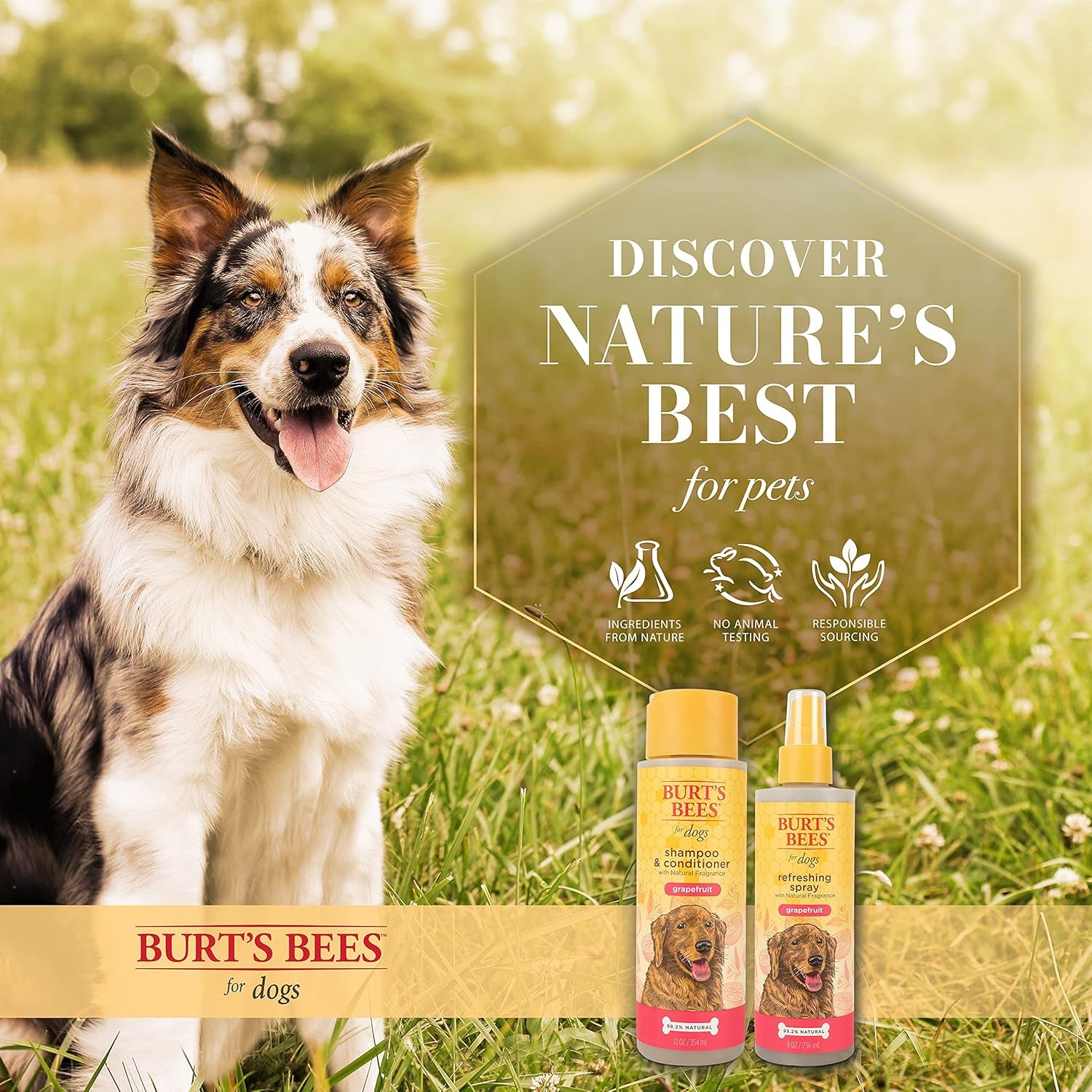 2-In-1 Dog Shampoo & Conditioner - 12 Oz