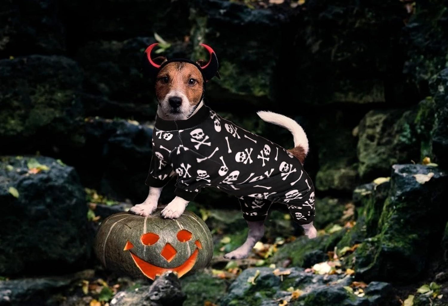 Halloween Dog Pajamas | Skull & Crossbones