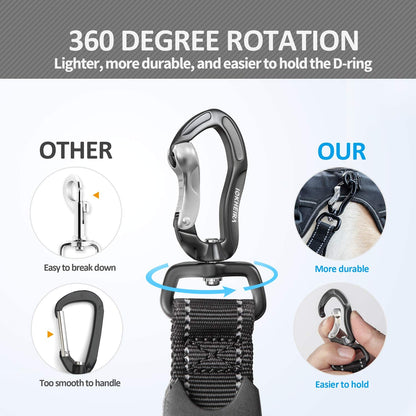 Multifunctional Bungee Leash | 4-6 FT