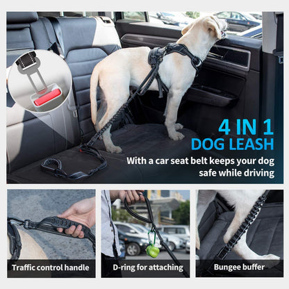 Multifunctional Bungee Leash | 4-6 FT