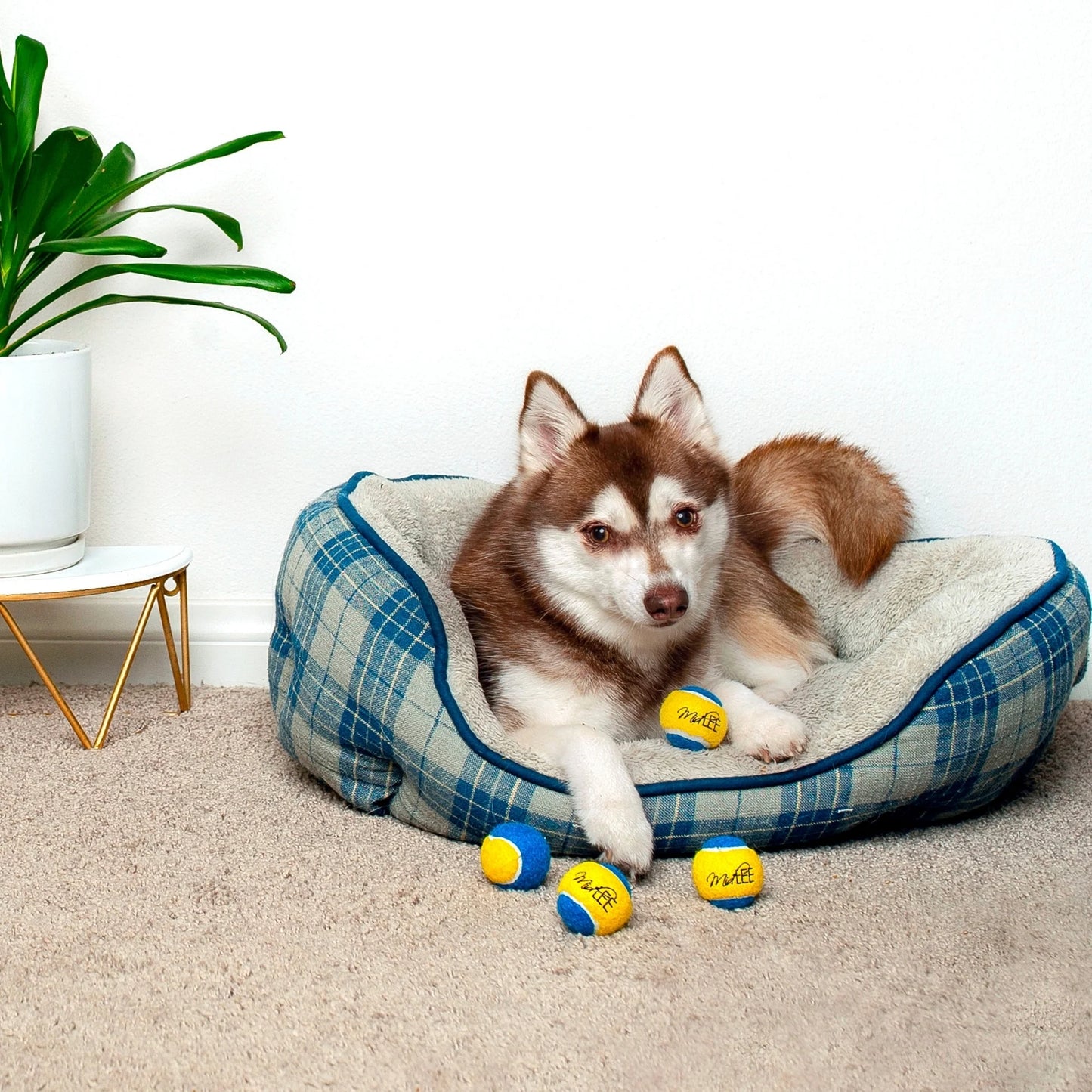 Mini Tennis Balls - 4pk