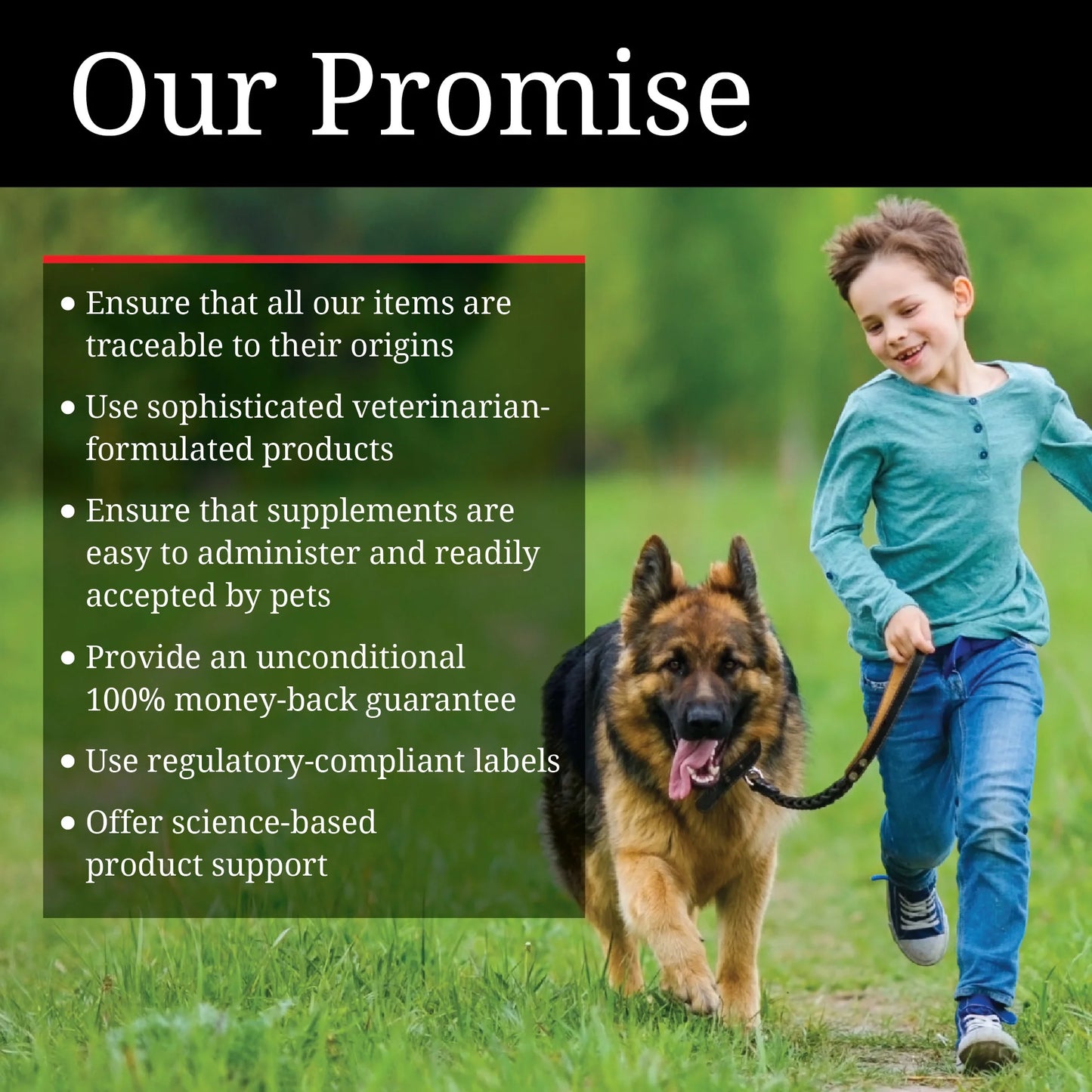 Aspirin for Medium to Large Dogs - 300Mg - 75 Count