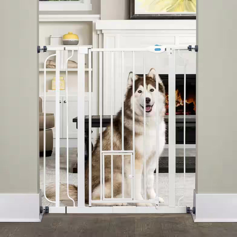 Carlson Extra Tall Walk-Through Pet Gate with Small Pet Door, White