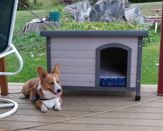 Natura Classic Dog House