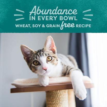Natural Balance Ultra: Indoor Cat Food