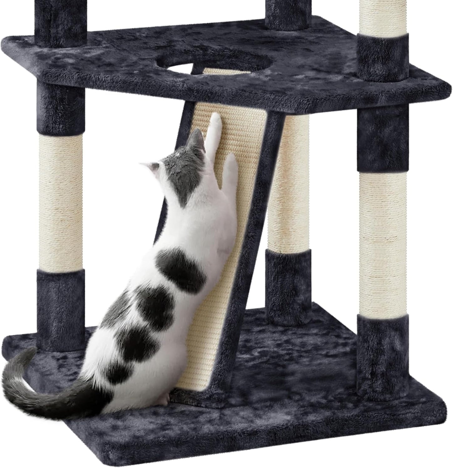 79 in Cat Tree Tower