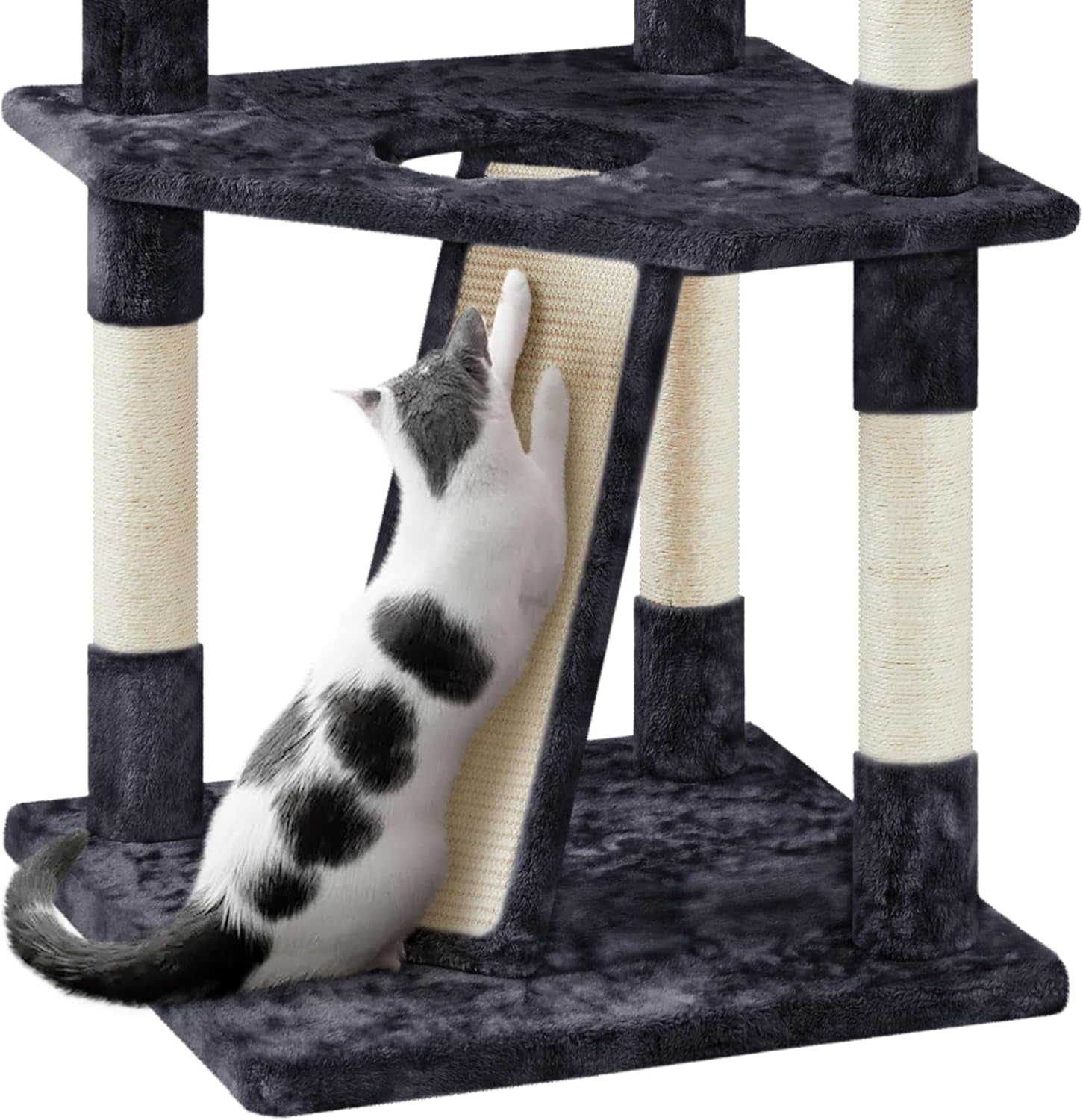 79 in Cat Tree Tower