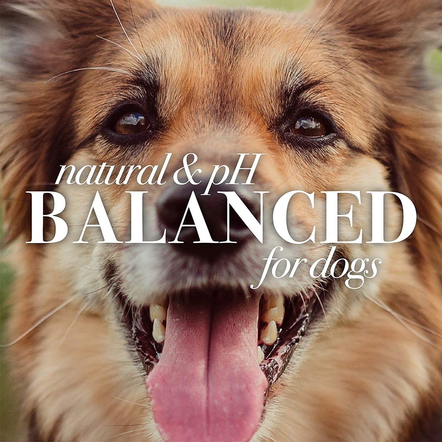 Deodorizing Dog Shampoo with Apple and Rosemary