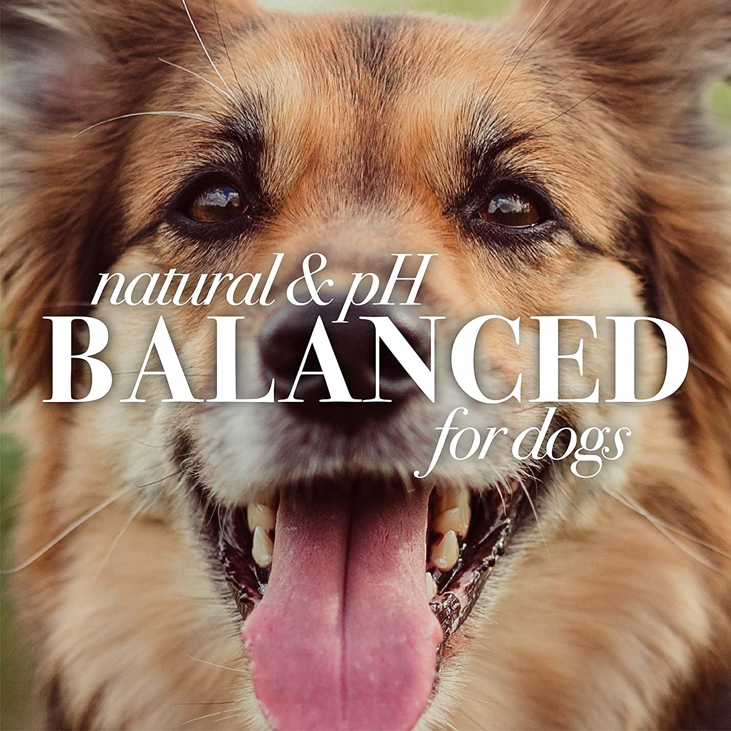 Deodorizing Dog Shampoo with Apple and Rosemary