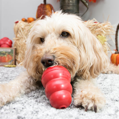 Kong® Classic Stuffable Dog Chew Toy