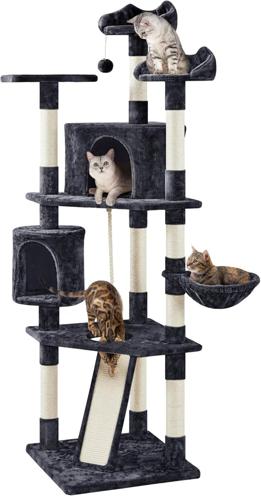 79 in Cat Tree Tower