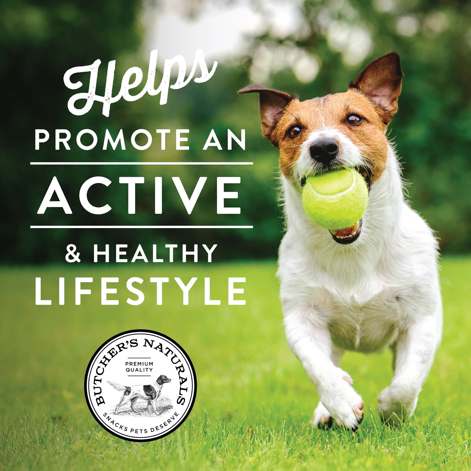 Salmon Flavor Jerky Treats for Dogs, 16 Oz