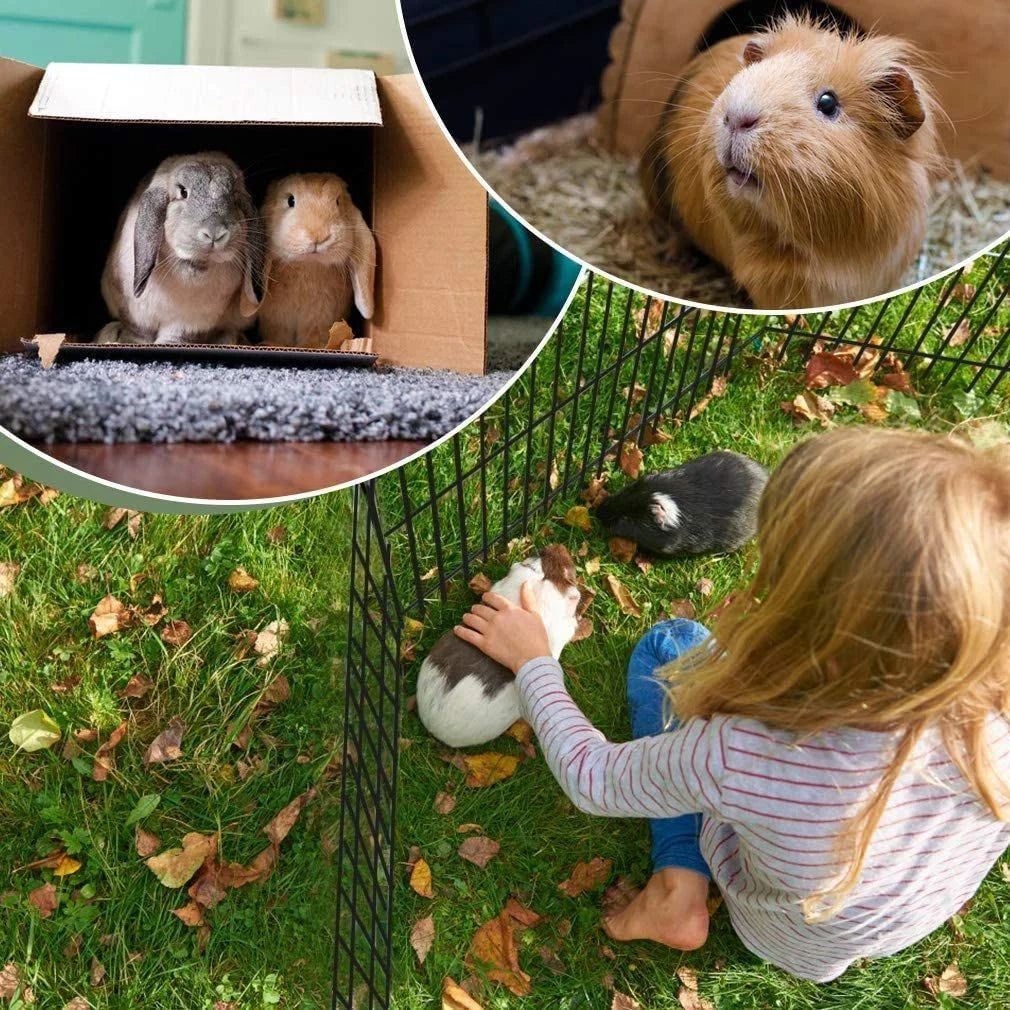 Eight Panel Exercise Pen