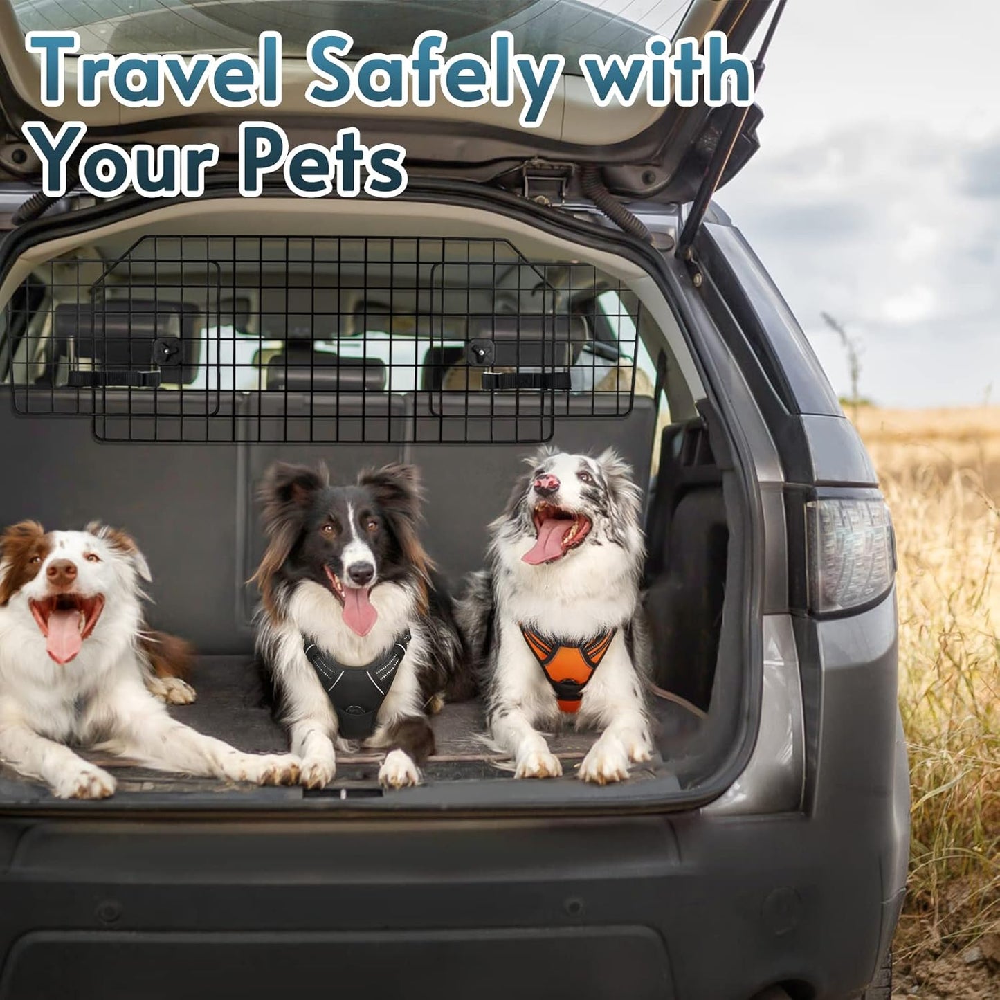 Wire Car Barrier