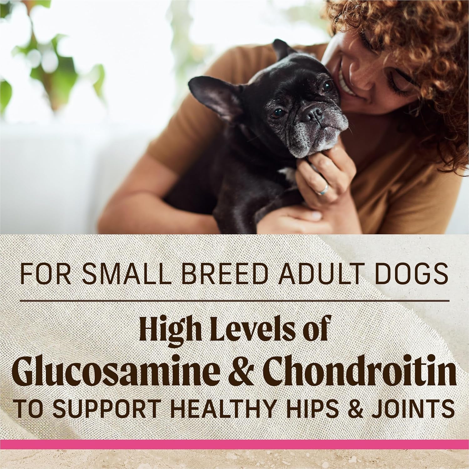 Healthy Grains Premium Dry Dog Food for Small Dogs, Small Breed Recipe