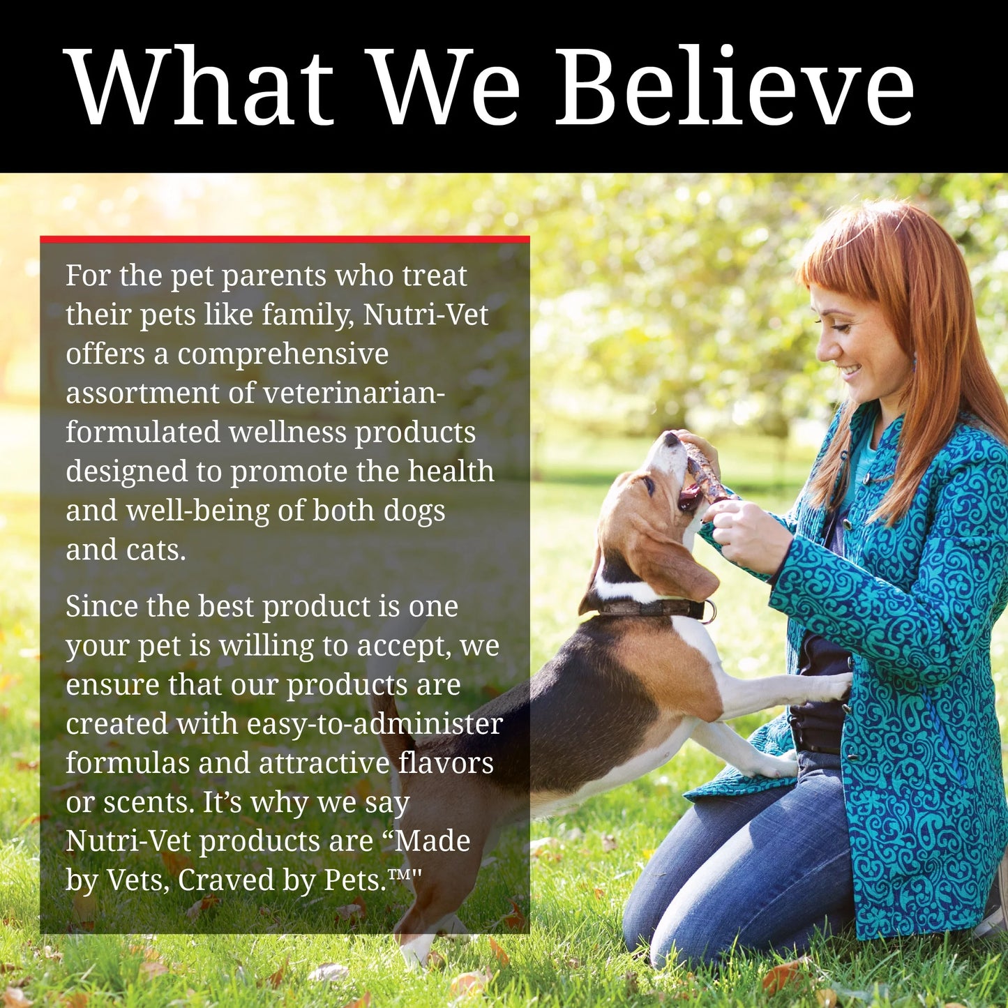 Aspirin for Medium to Large Dogs - 300Mg - 75 Count