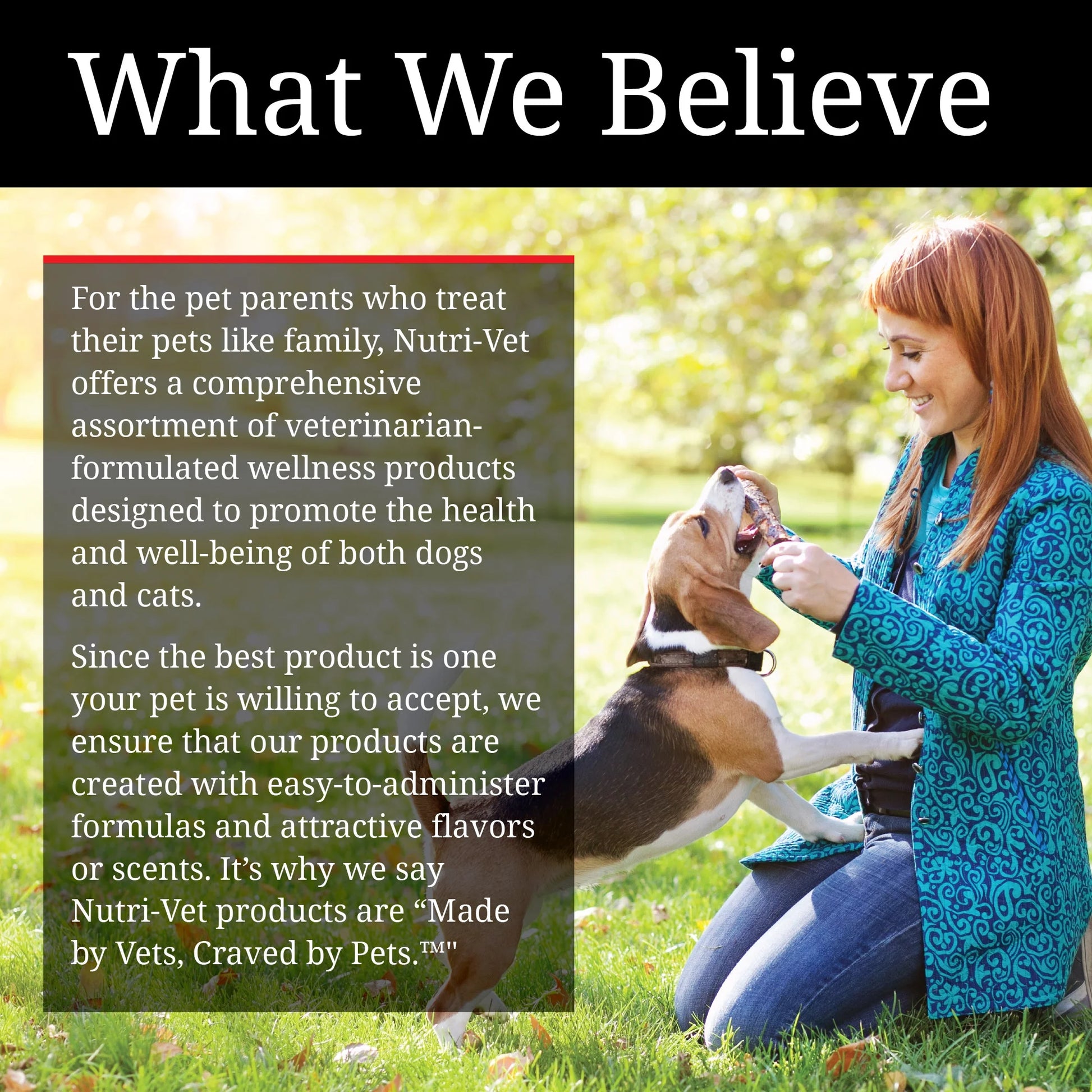 Aspirin for Medium to Large Dogs - 300Mg - 75 Count
