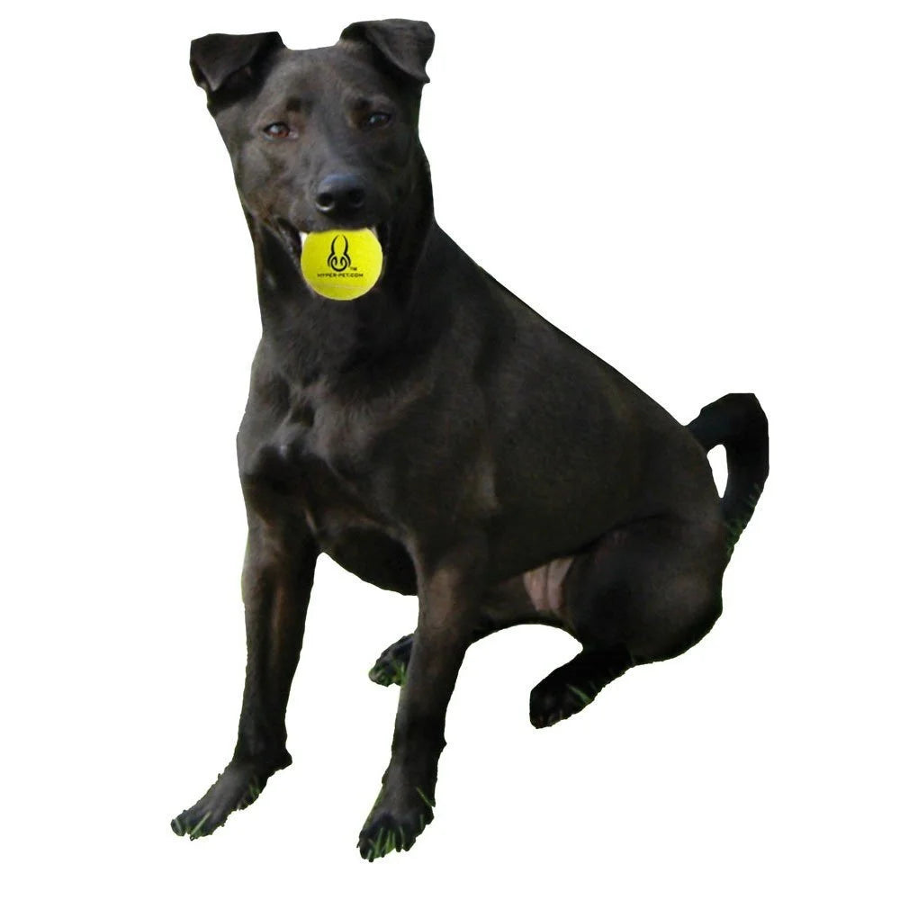 Tennis Balls for Small Dogs, 4pk