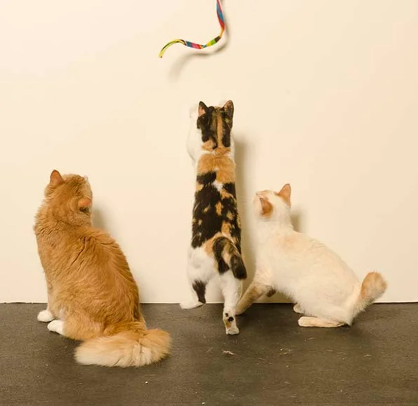 Cat Charmer Rainbow Wand