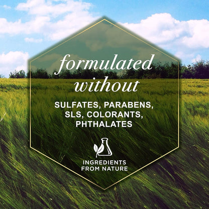 2-In-1 Dog Shampoo & Conditioner - 12 Oz