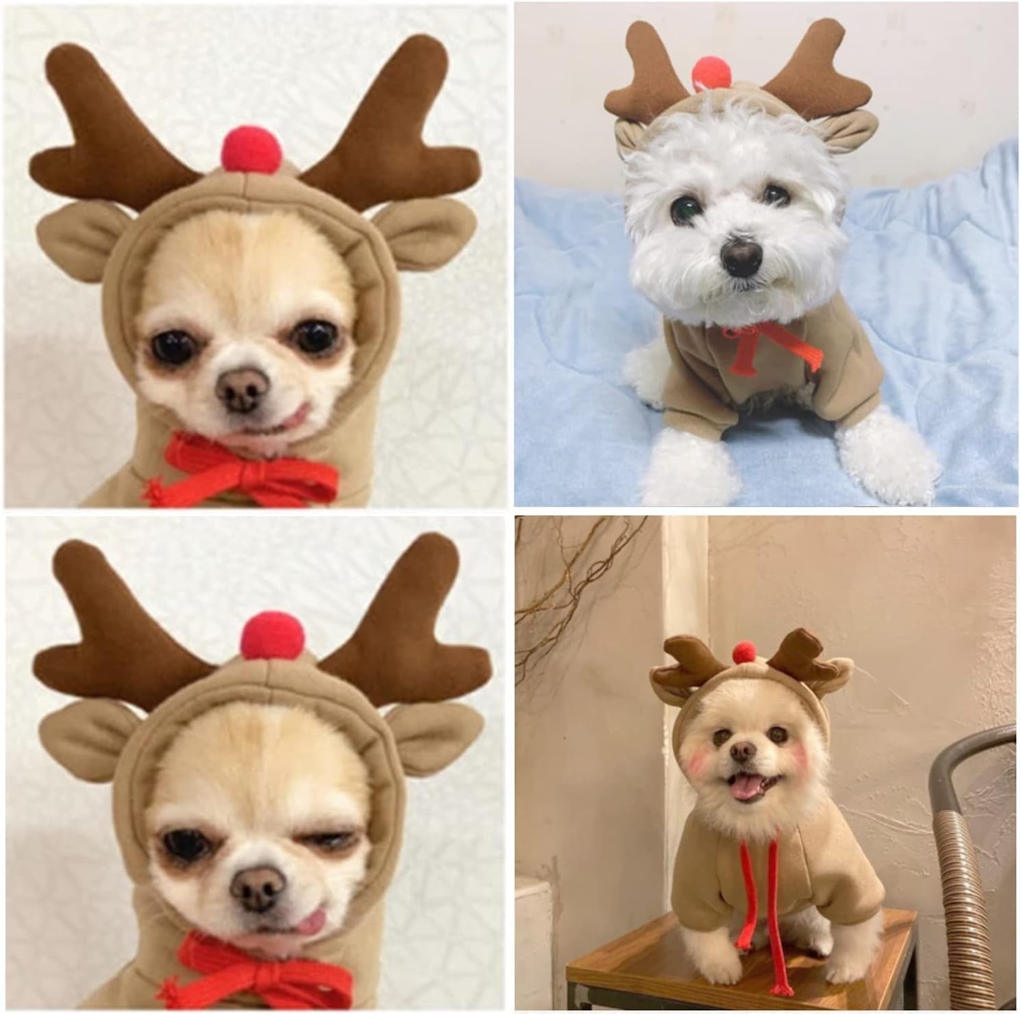 Dog Hoodie - Elk and Frog