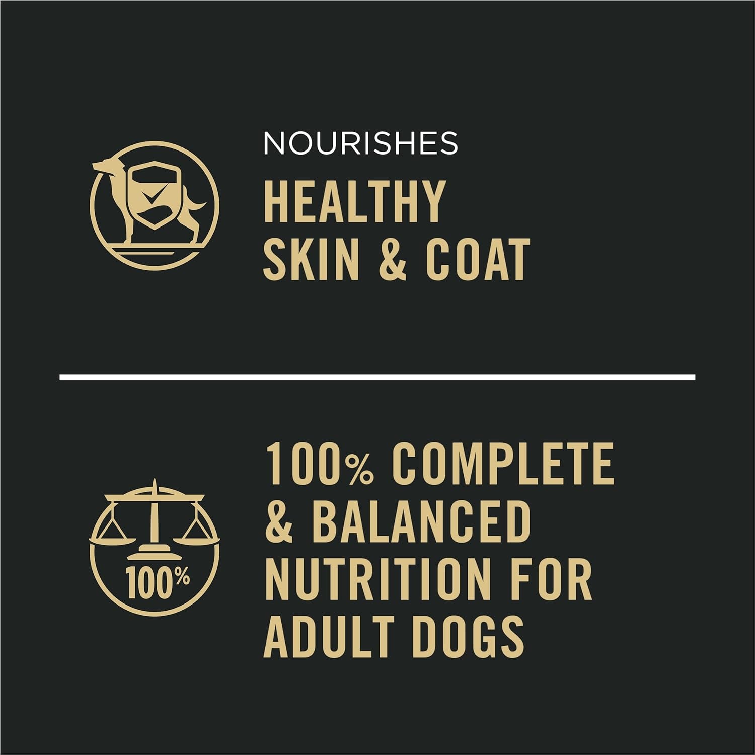 Purina Pro Plan Complete Essentials Wet Dog Food - (Pack of 12) 13 Oz. Cans