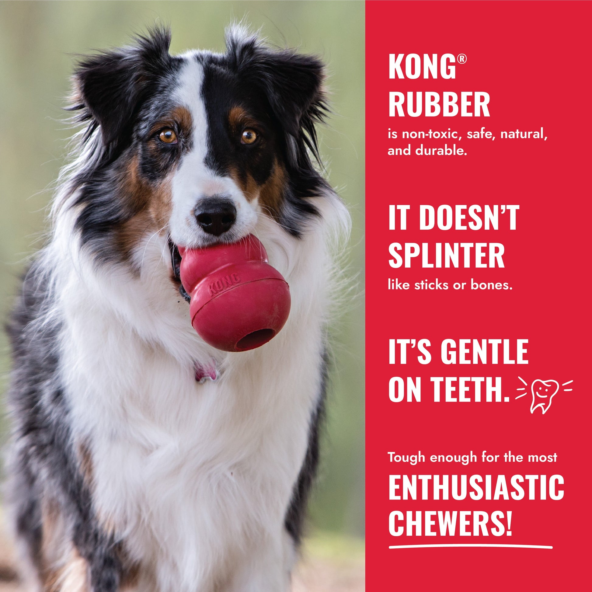 Kong® Classic Stuffable Dog Chew Toy